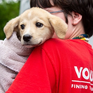 Animal Welfare